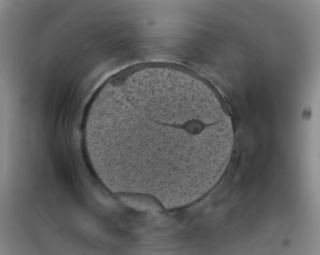 X0000100420290200807032108