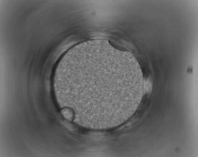 X0000100420291200807032108