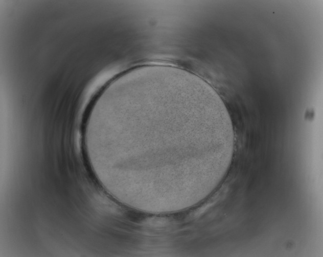 X0000100420294200807032108