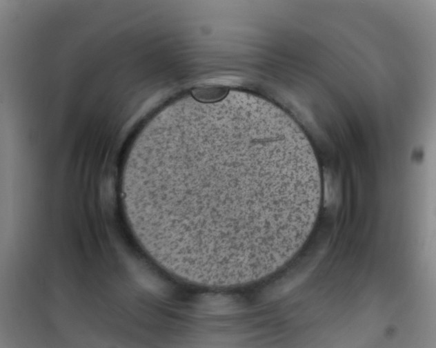 X0000100420300200807032108