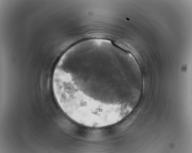 X0000100420301200807032108