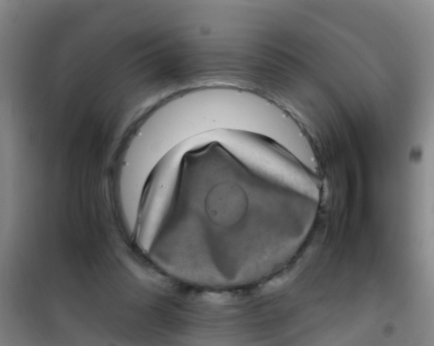 X0000100420302200807032108