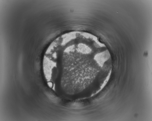 X0000100420303200807032108