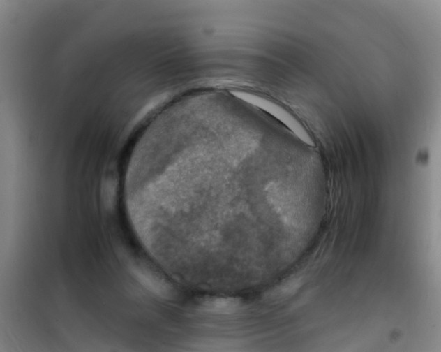 X0000100420304200807032108