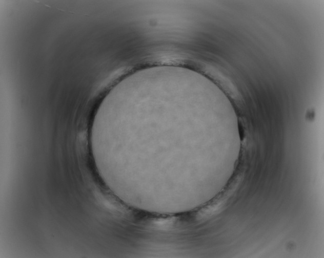 X0000100420306200807032108