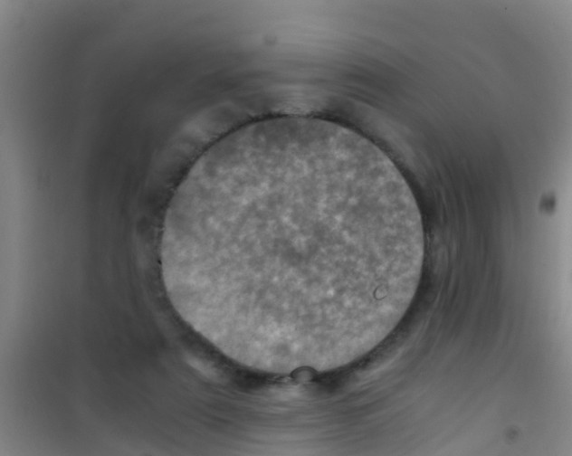 X0000100420307200807032108