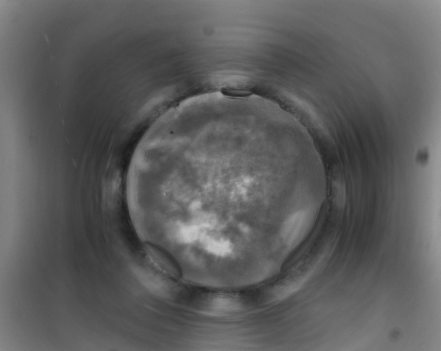 X0000100420308200807032108