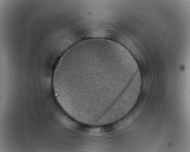 X0000100420309200807032108