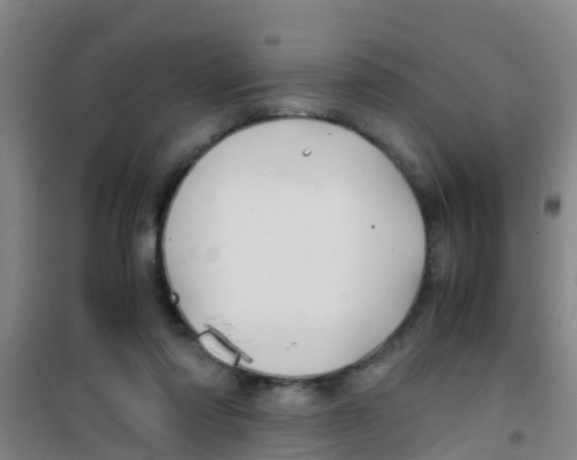 X0000100420310200807032108