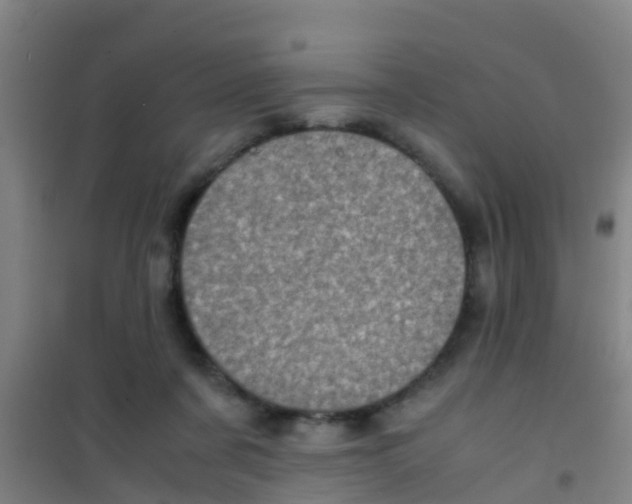 X0000100420311200807032108