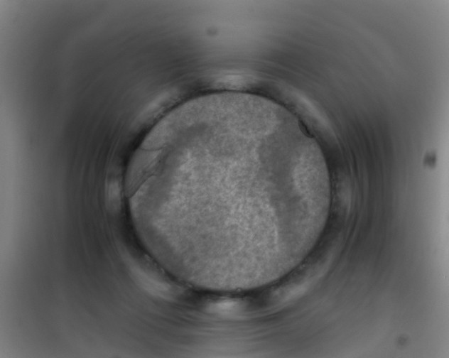 X0000100420312200807032108