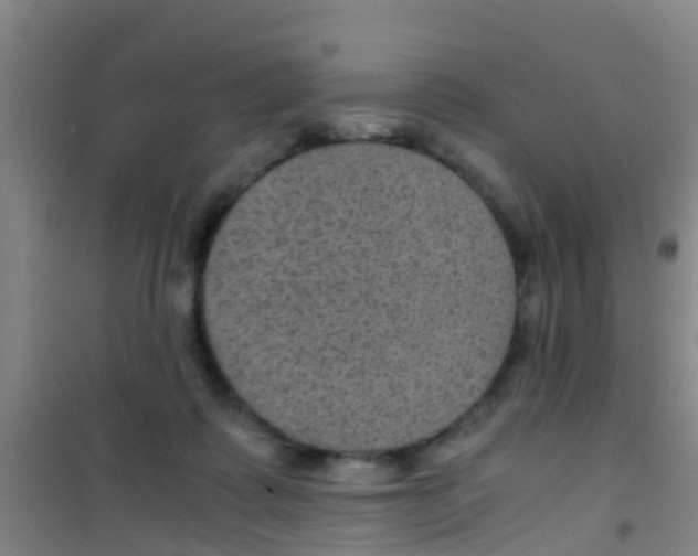 X0000100420315200807032108