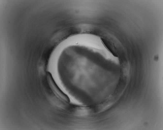 X0000100420316200807032108