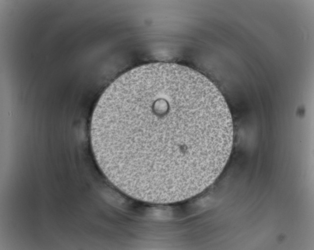 X0000100420317200807032108