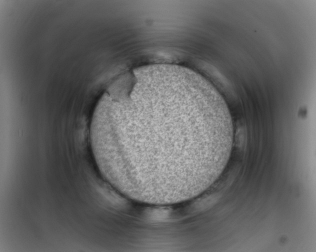 X0000100420318200807032108