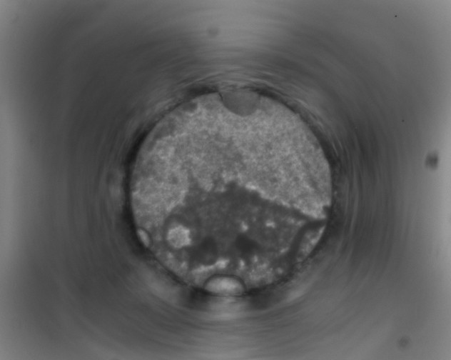 X0000100420319200807032108