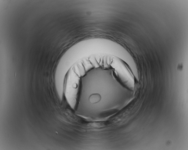 X0000100420320200807032108