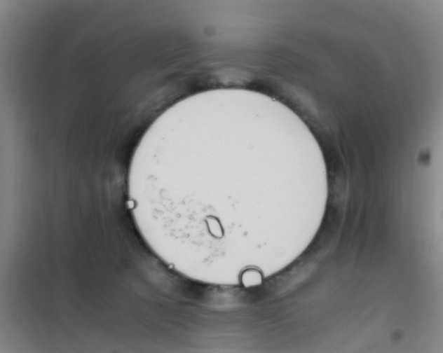 X0000100420321200807032108