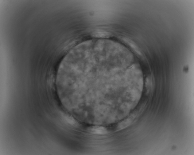 X0000100420322200807032108