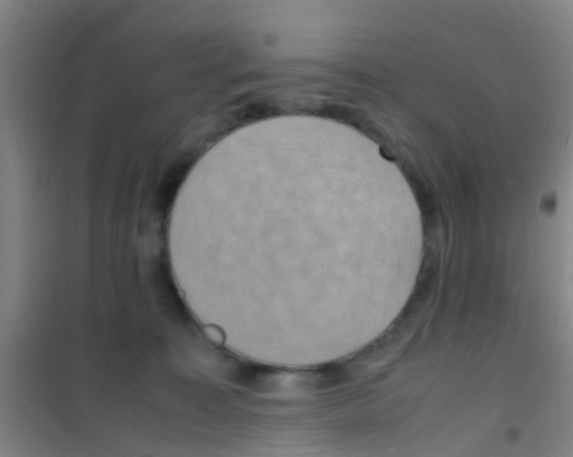 X0000100420323200807032108