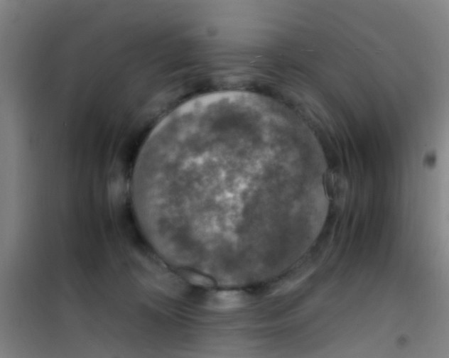 X0000100420324200807032108