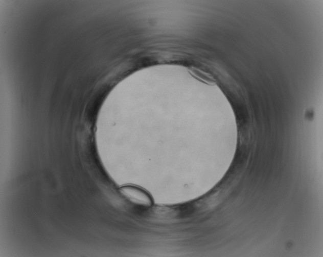 X0000100420327200807032107