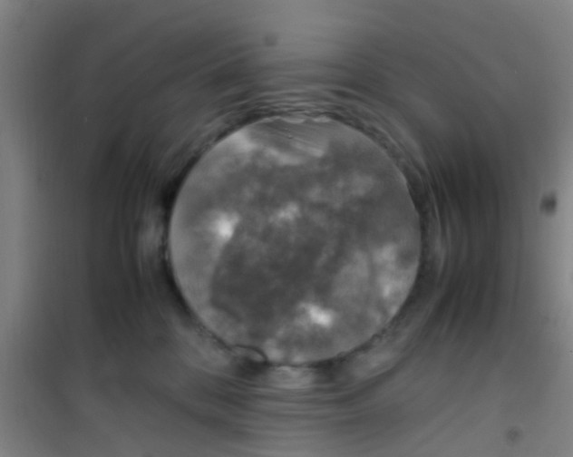 X0000100420328200807032107