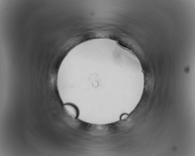 X0000100420329200807032107