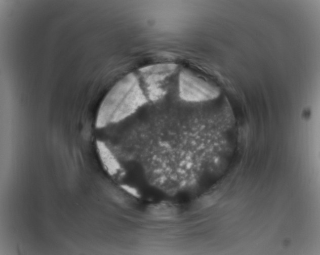 X0000100420331200807032107