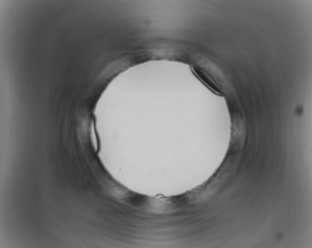 X0000100420333200807032107