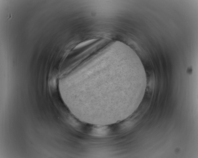 X0000100420334200807032107