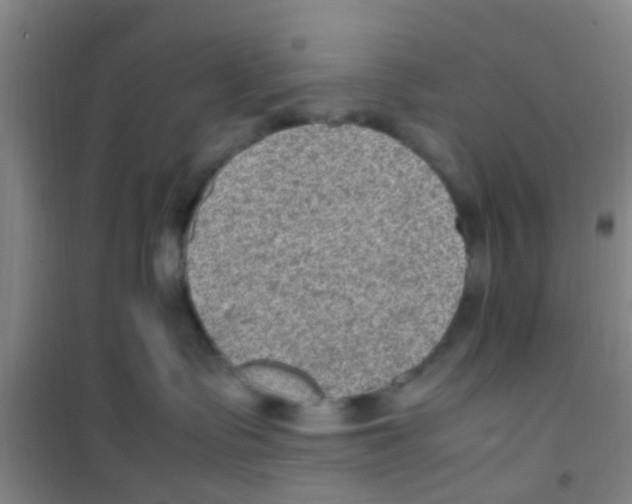 X0000100420335200807032107