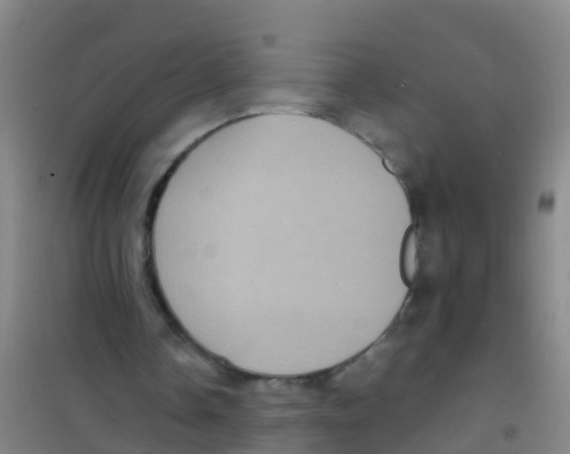 X0000100420338200807032107