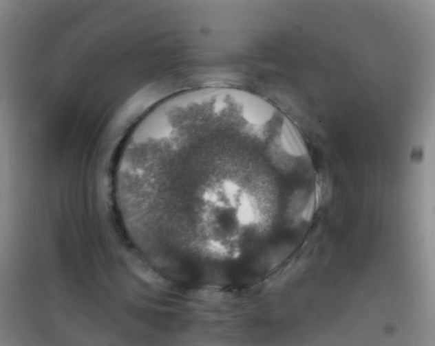 X0000100420339200807032107