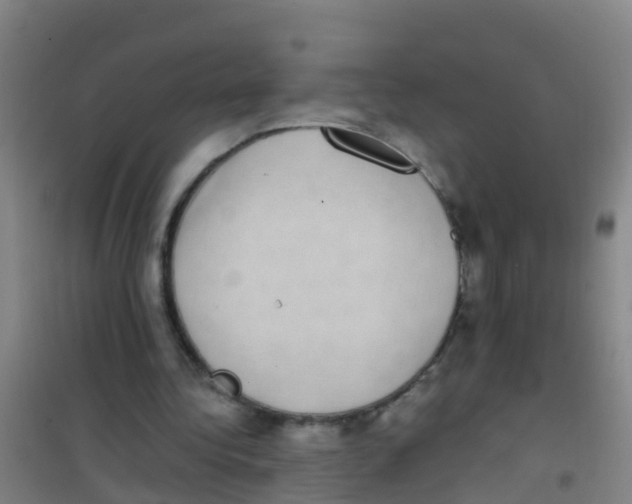 X0000100420340200807032107