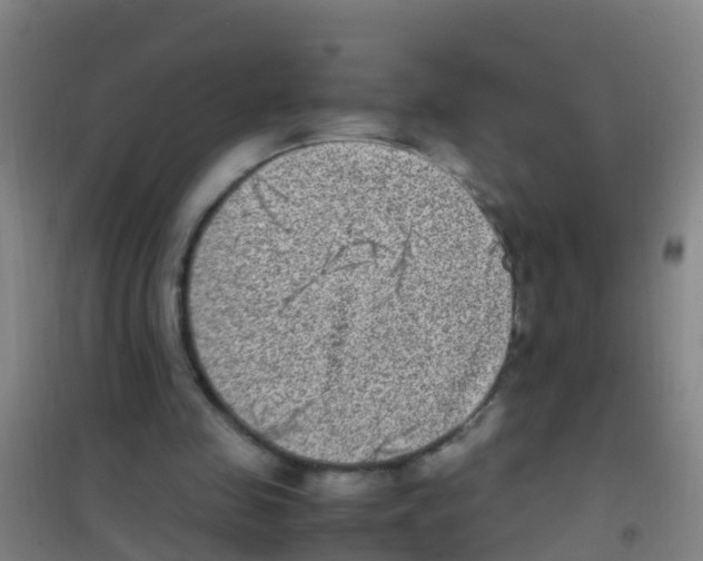 X0000100420341200807032107