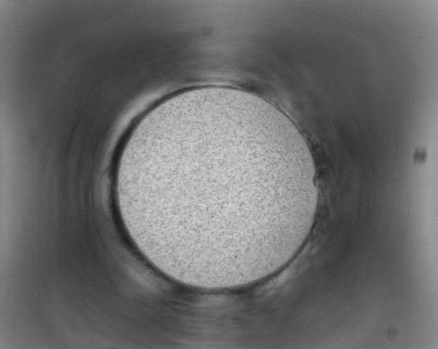 X0000100420342200807032107