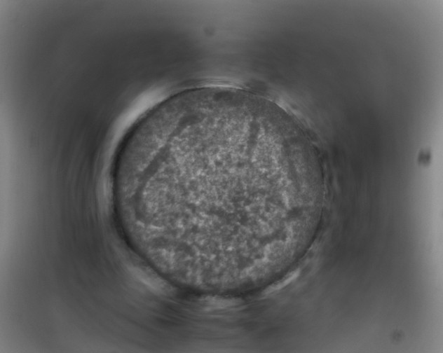 X0000100420343200807032107