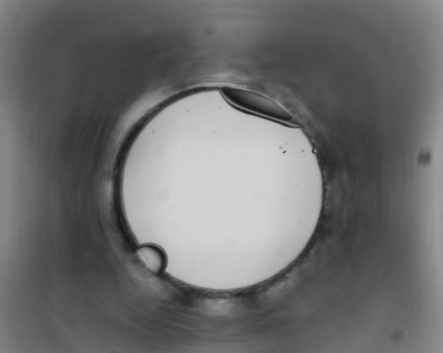 X0000100420344200807032107