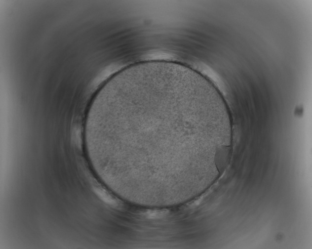 X0000100420345200807032107