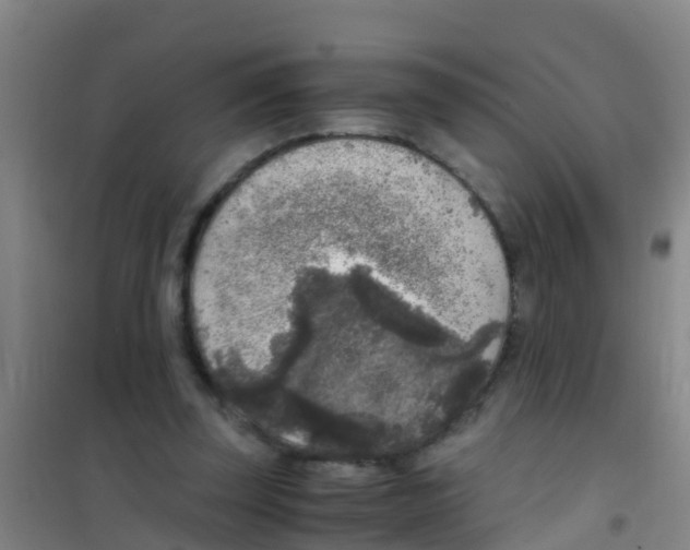 X0000100420347200807032107