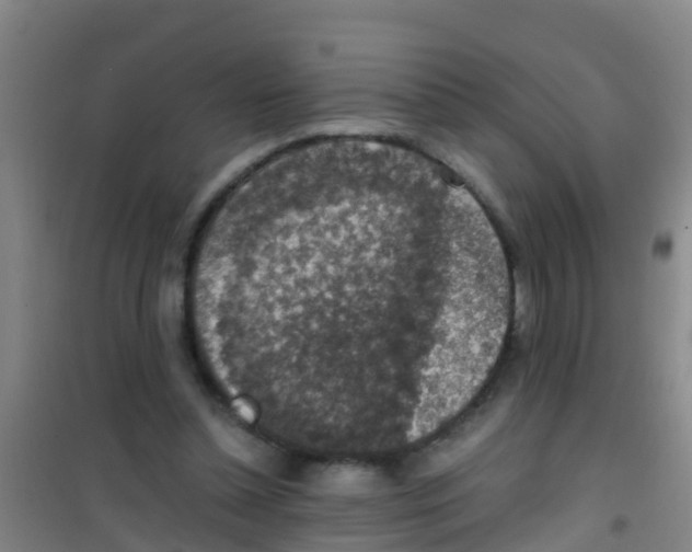 X0000100420348200807032107