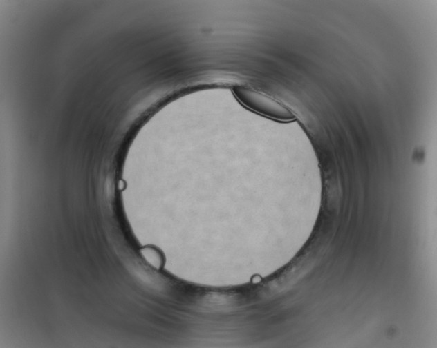 X0000100420350200807032107