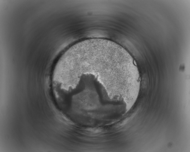 X0000100420351200807032107