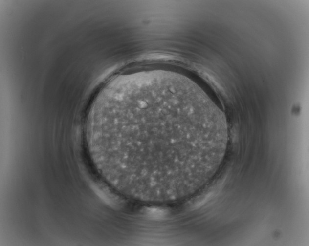 X0000100420352200807032107