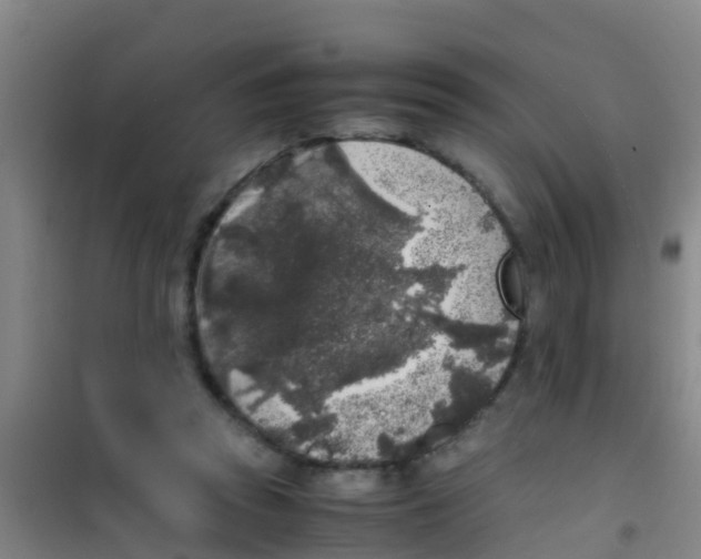 X0000100420353200807032107