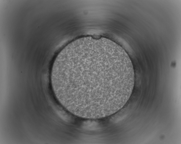 X0000100420354200807032107