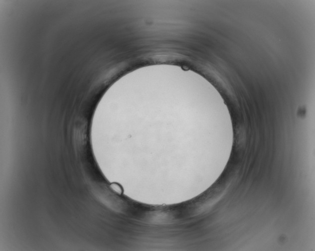 X0000100420356200807032107