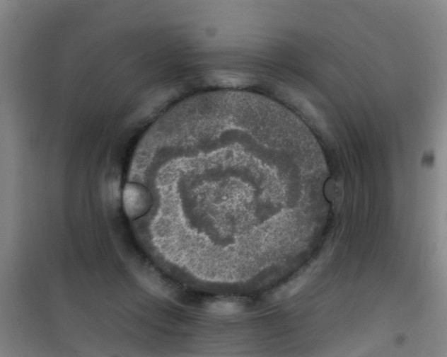 X0000100420358200807032107