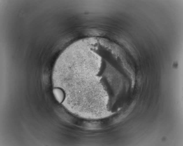 X0000100420359200807032107